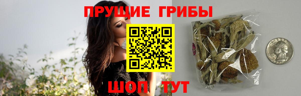 Галлюциногенные грибы прущие грибы  Вход с VPN  Щёлково 